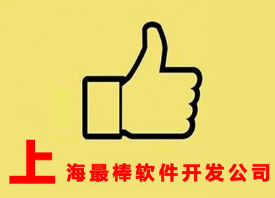 上海卓越軟件開發(fā)公司 定制化軟件外包服務(wù)打造高效商業(yè)解決方案
